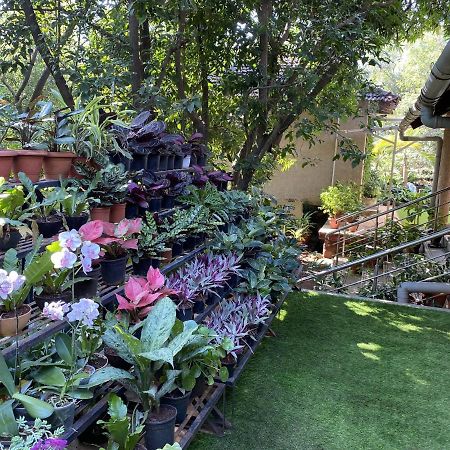 Peace Lily Cottage Карджат Екстер'єр фото